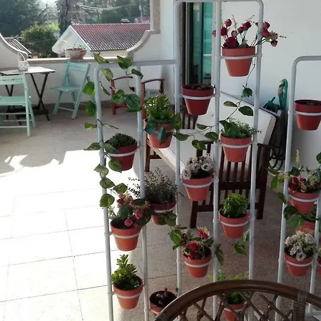 Terrace House Portugal