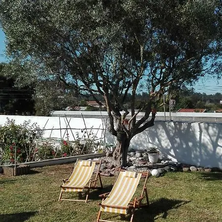 Bed and Breakfast Terrace House Portugal Cortegaça